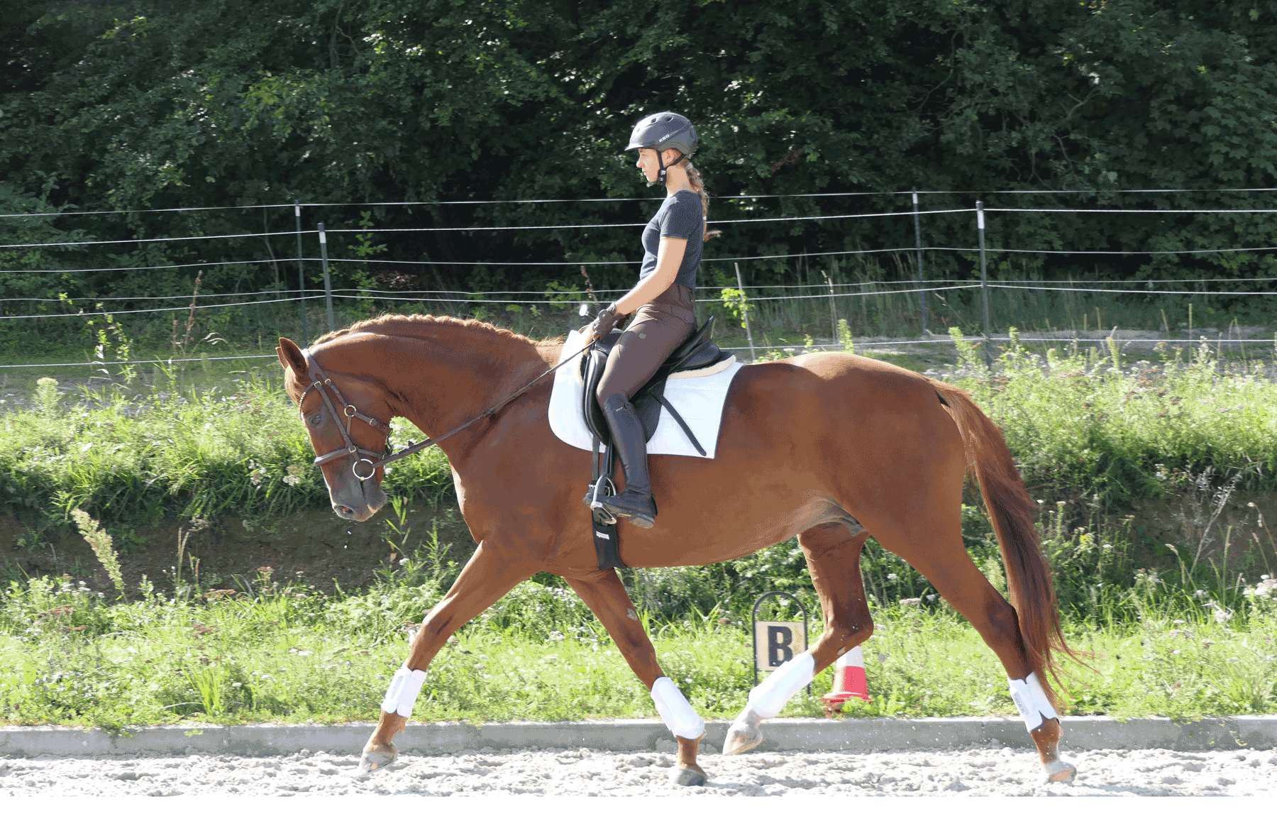 LaBelle_P1140831